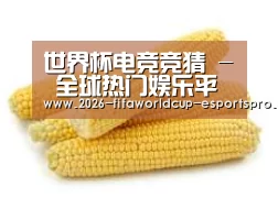 产品名称五