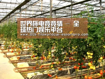 种植基地二(图1)