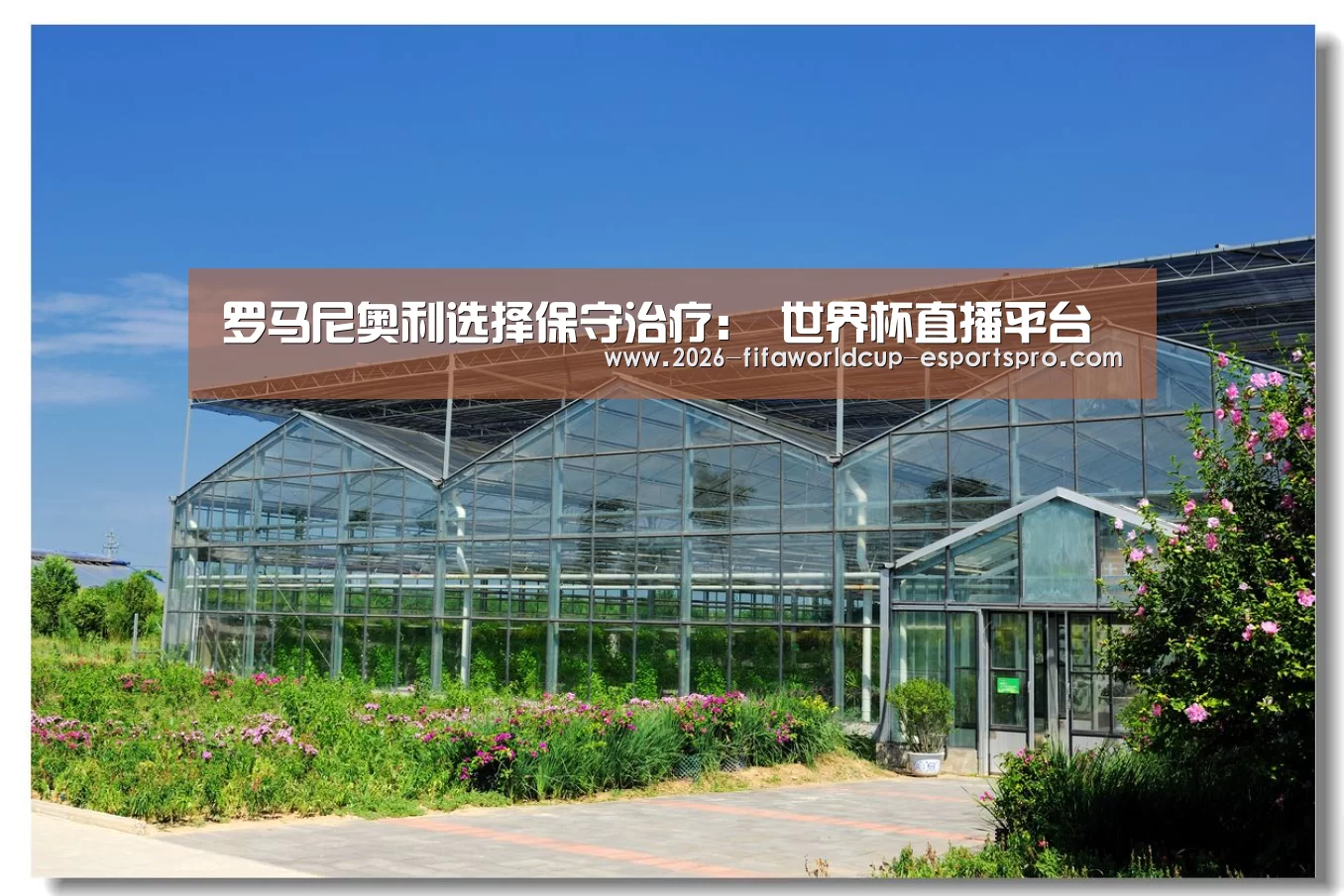 罗马尼奥利选择保守治疗: 世界杯直播平台(图1) 世界杯最新地址