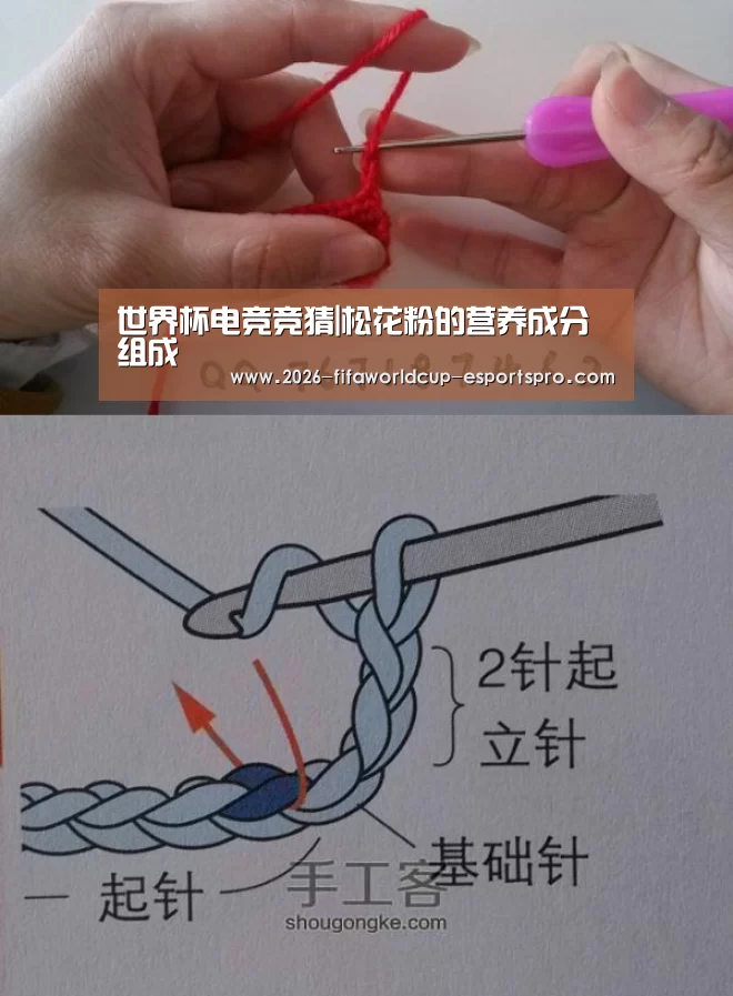 世界杯电竞竞猜|松花粉的营养成分组成(图3) 世界杯足球