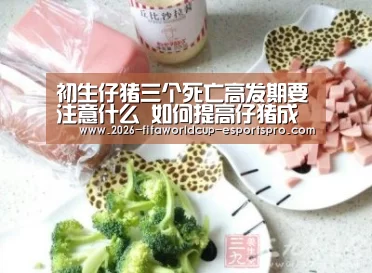 世界杯电竞竞猜