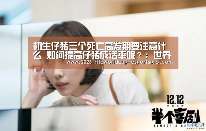  世界杯直播平台