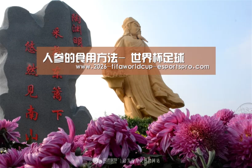 人参的食用方法- 世界杯足球(图1) 世界杯最新地址