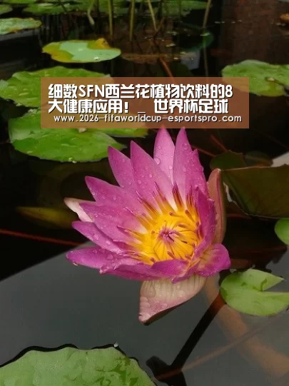  世界杯直播平台