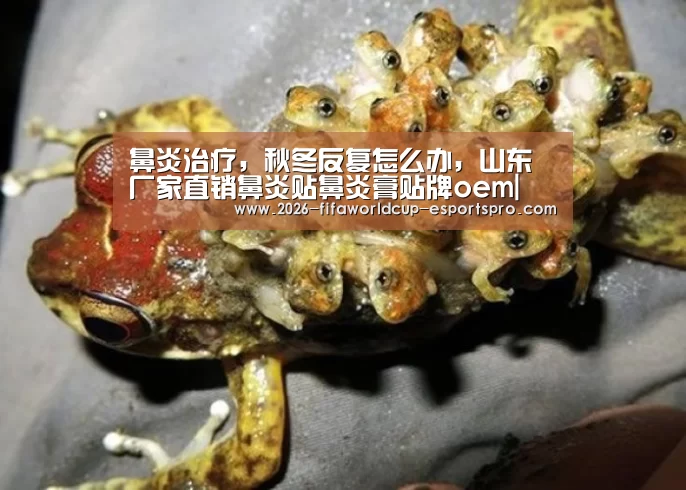  世界杯最新地址