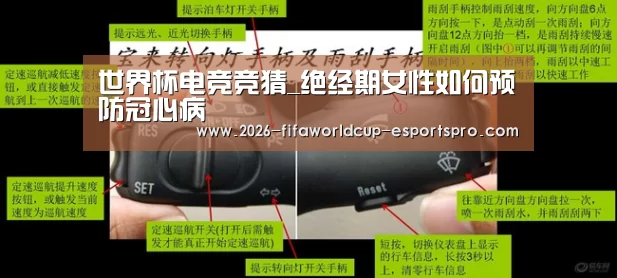  世界杯最新地址