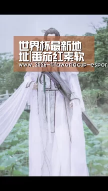  世界杯最新地址