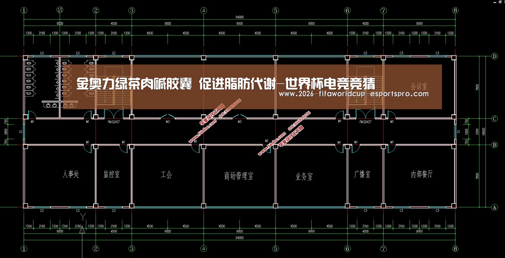 金奥力绿茶肉碱胶囊 促进脂肪代谢-世界杯电竞竞猜(图2) 世界杯电竞竞猜