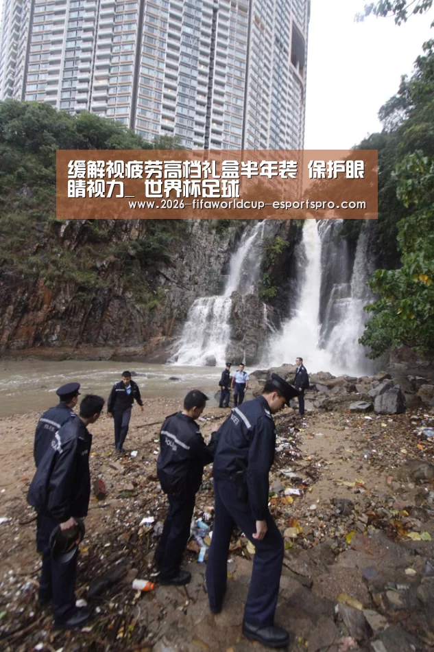 缓解视疲劳高档礼盒半年装 保护眼睛视力_ 世界杯足球(图3) 世界杯电竞竞猜