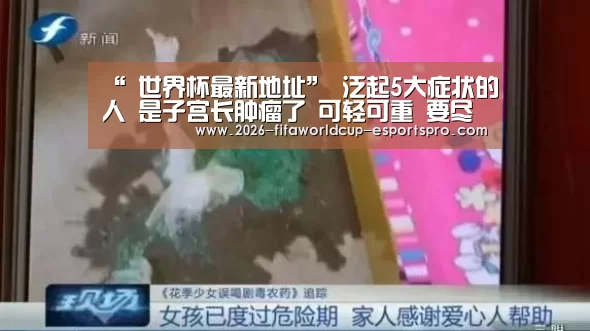  世界杯足球
