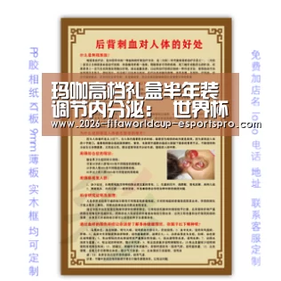  世界杯足球