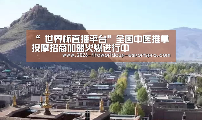  世界杯足球